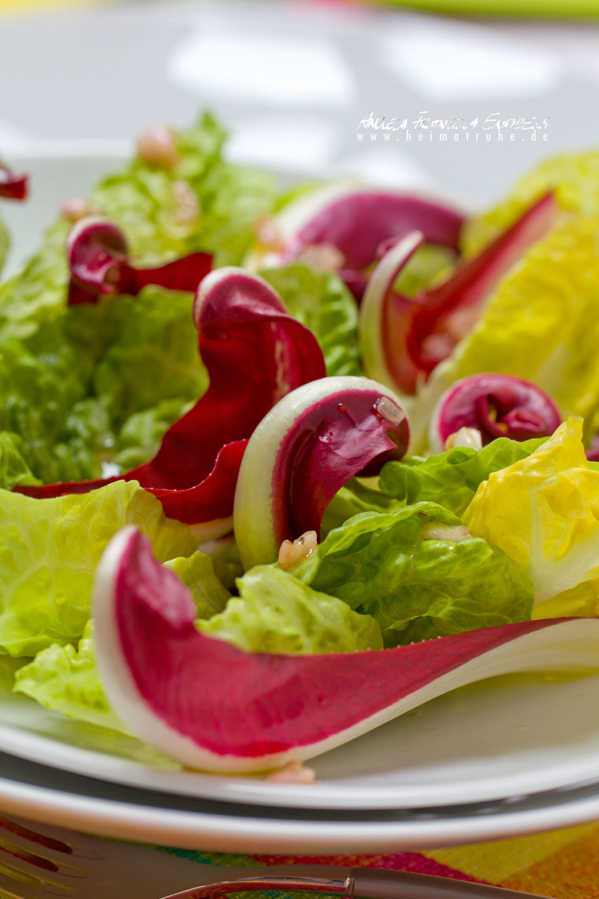 rezept_salat_do_1 Salat Dooooooooominic